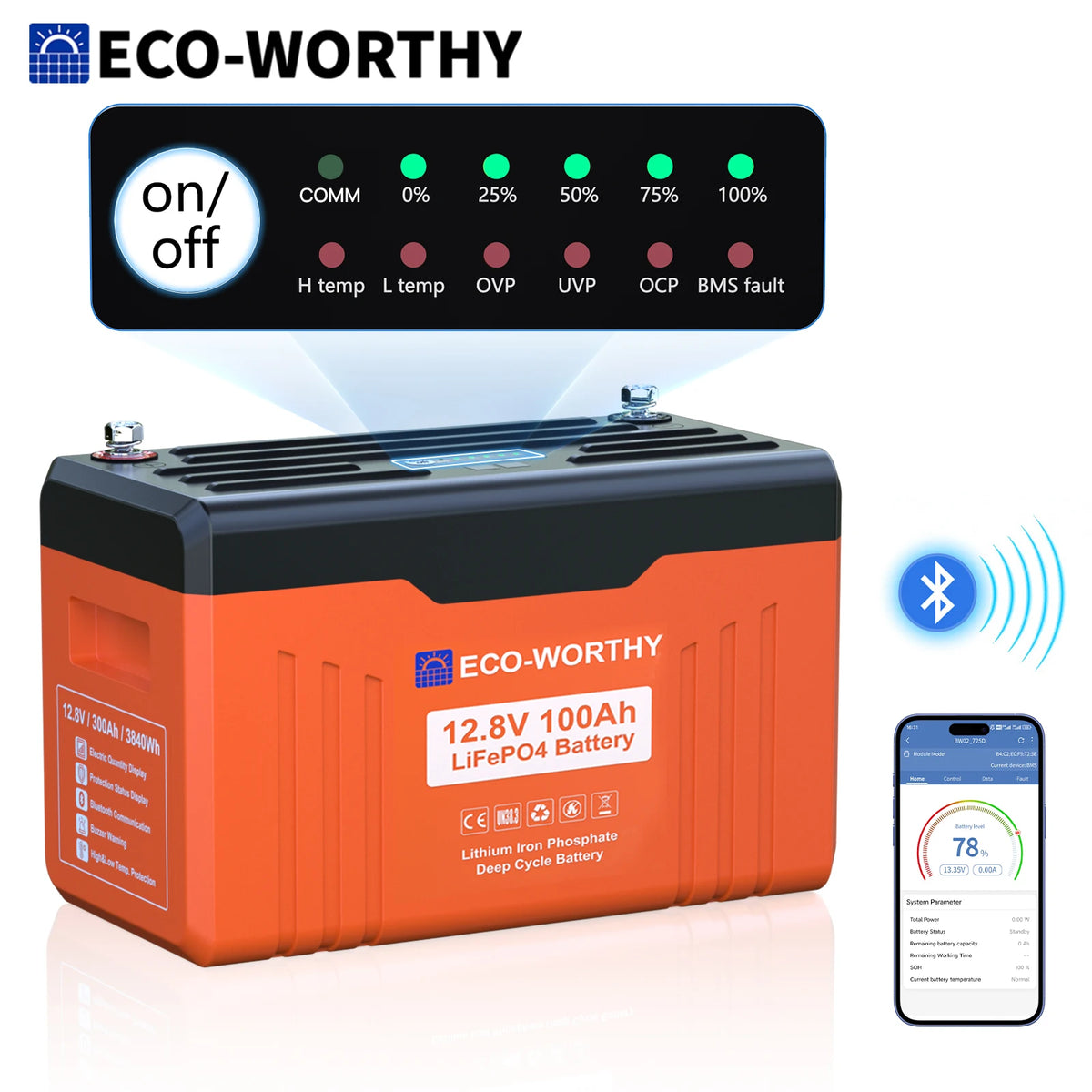 ECO-WORTHY Bluetooth LiFePO4 Battery With Low Temperature Protection