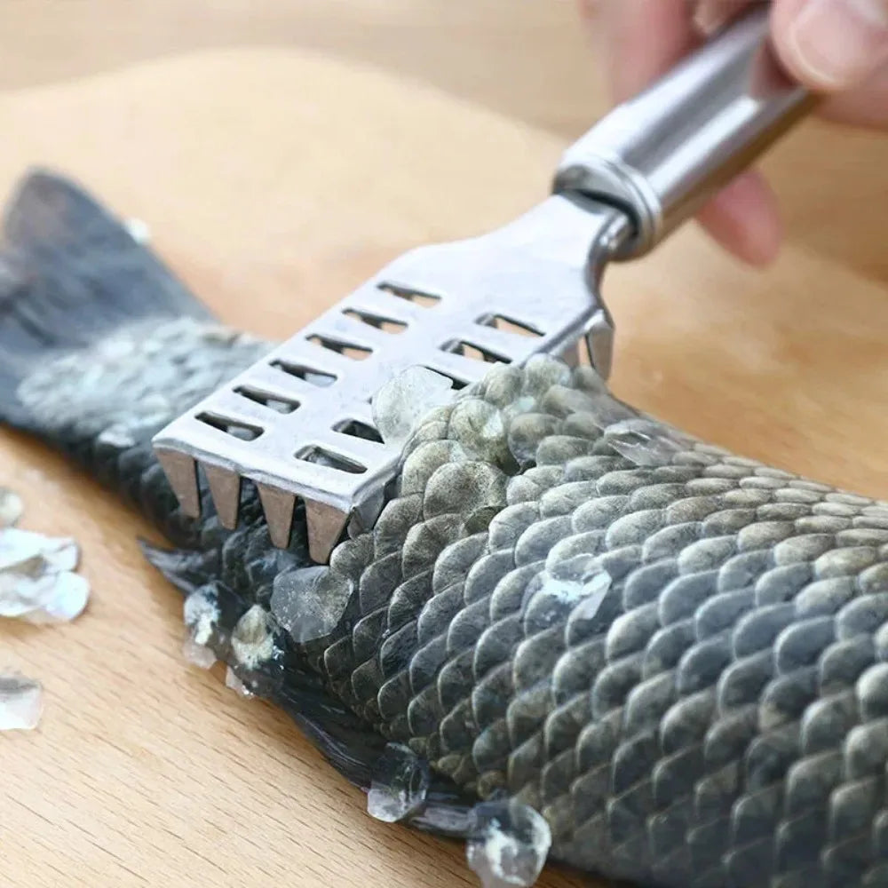 Multi Purpose Kitchen Scraper for Fish Ginger and Vegetables