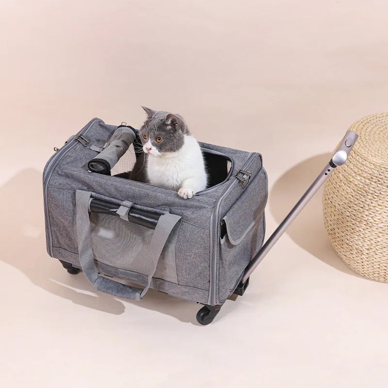 JTPAWS Rolling Pet Carrier With Wheels For Dogs And Cats