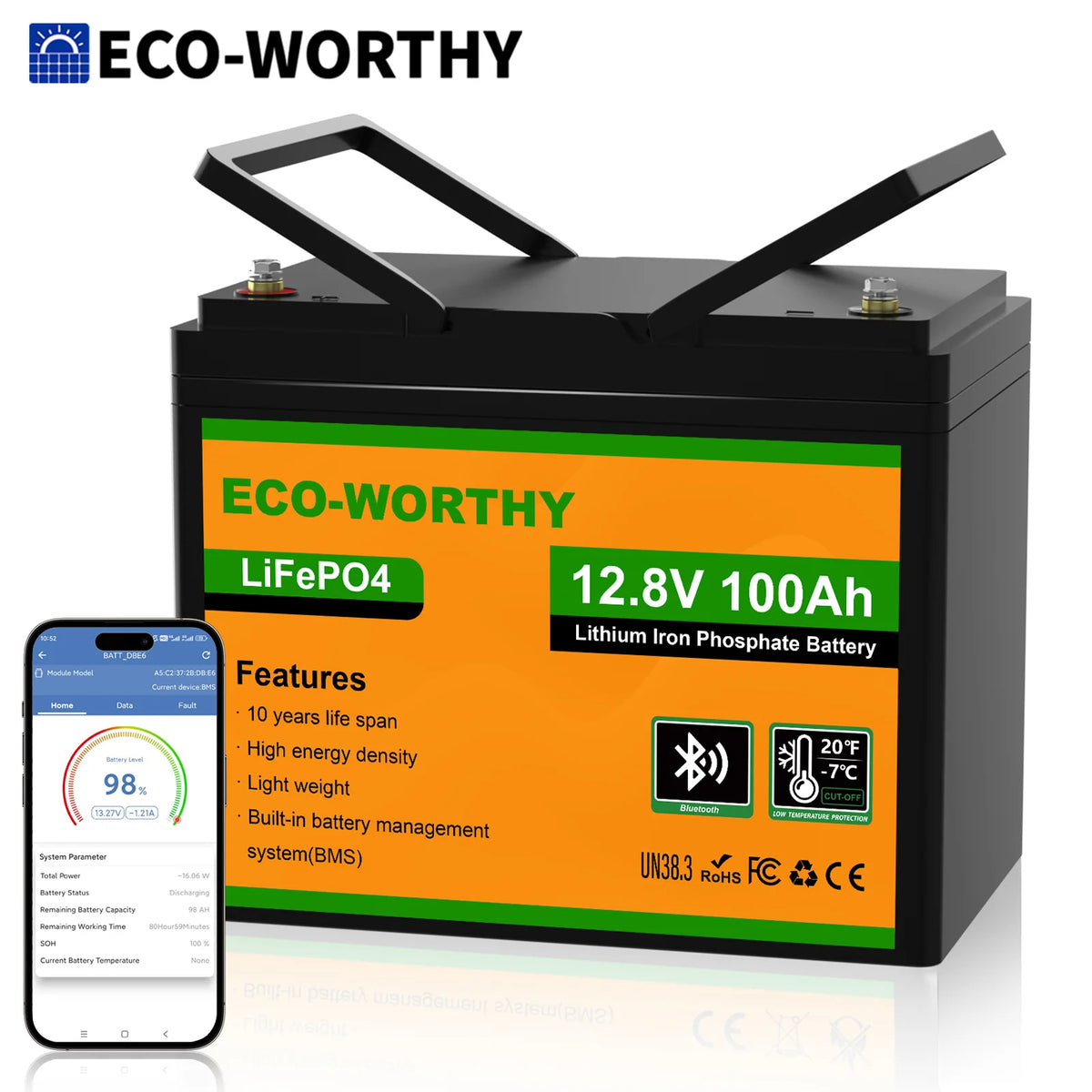 ECO-WORTHY Bluetooth LiFePO4 Battery With Low Temperature Protection