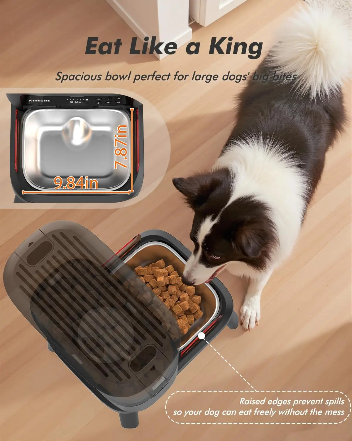 Automatic Large Breed Dog Feeder With Clog Resistant Food Dispensing