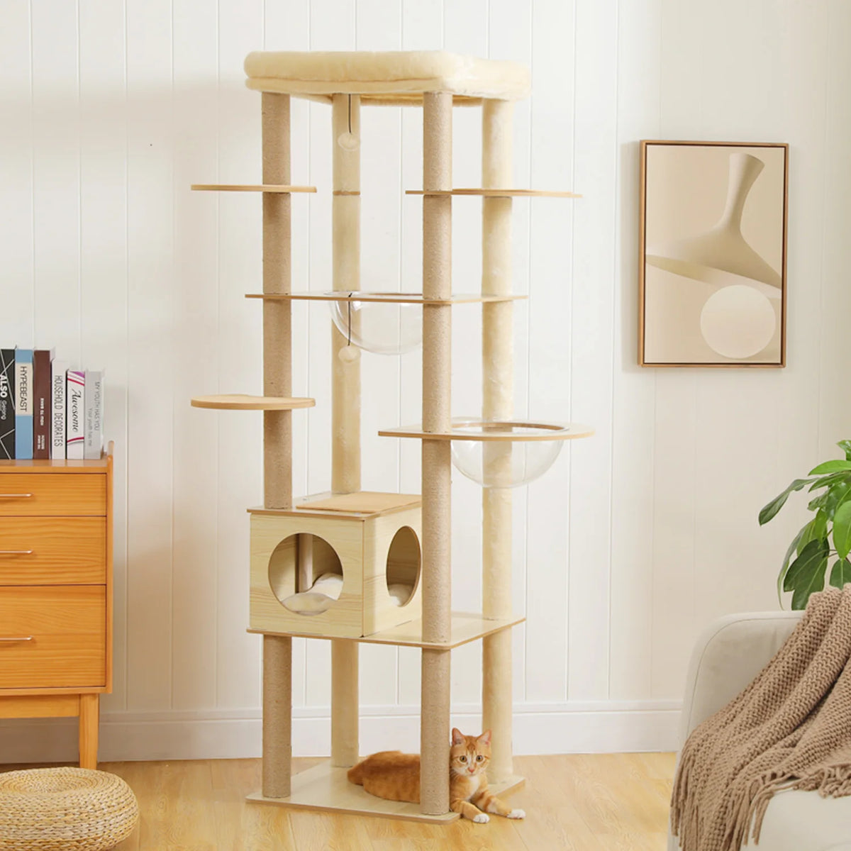 PAWZ Ro Multi-Level Wooden Cat Tree With Condo And Hammock