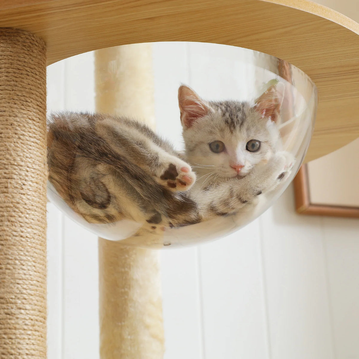 PAWZ Ro Multi-Level Wooden Cat Tree With Condo And Hammock