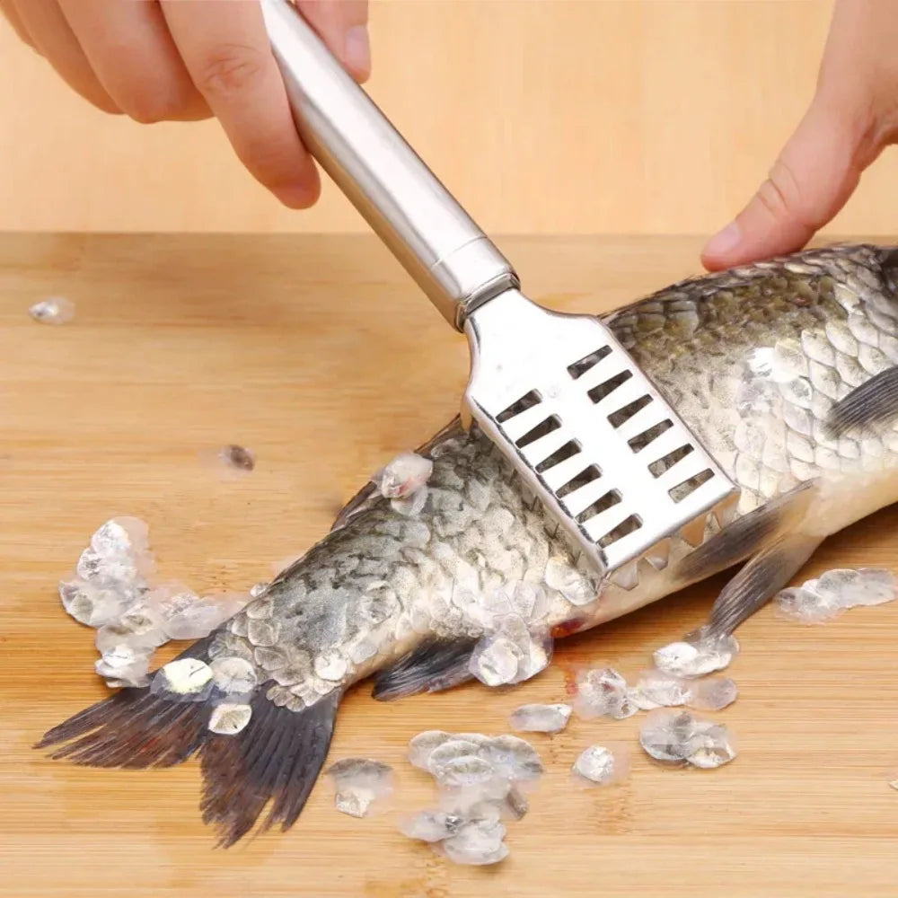 Multi Purpose Kitchen Scraper for Fish Ginger and Vegetables